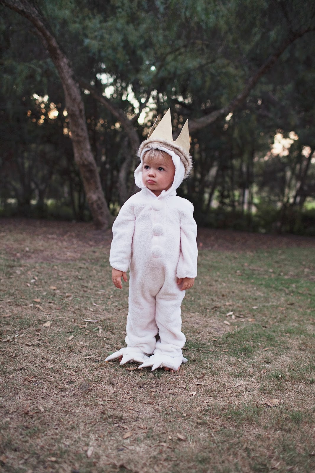 DIY WHERE THE WILD THINGS ARE FAMILY COSTUME - Tell Love and Party