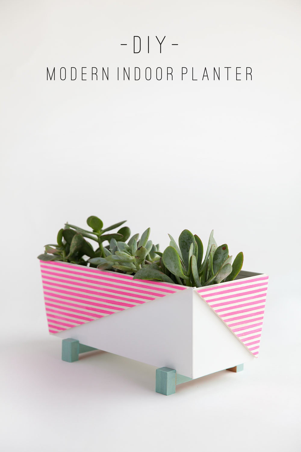 modern-indoor-planter-diy-text