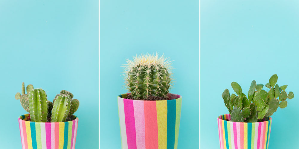 Coloful-DIY-pots-to-make-for-your-cacti