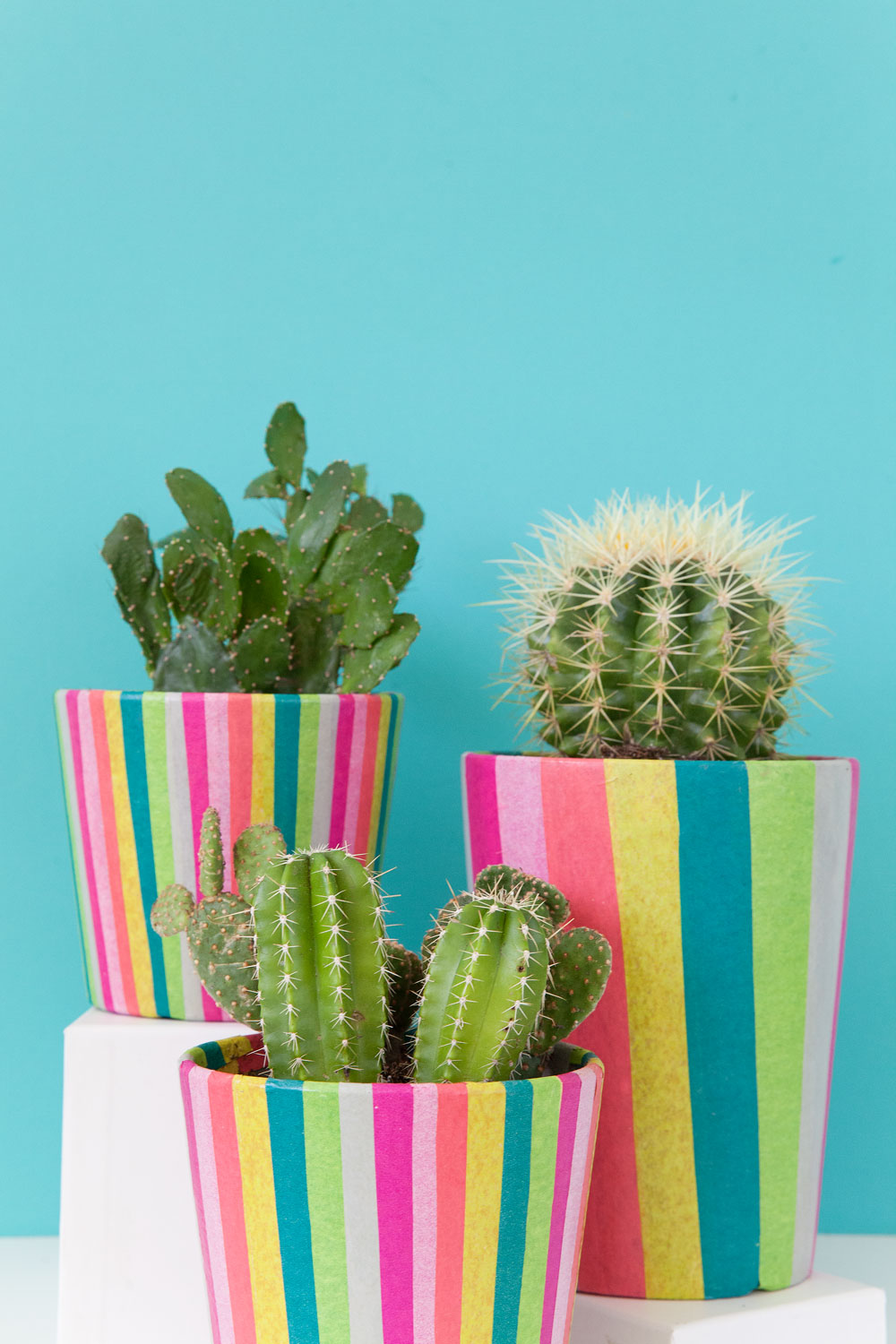 DIY-colorful-striped-pots-and-cute-cacti