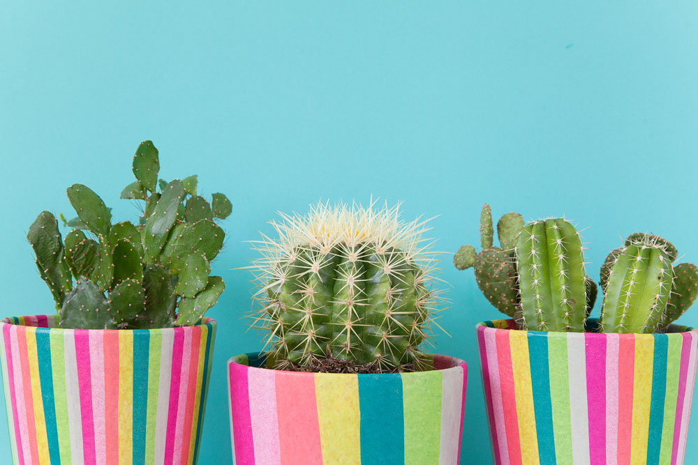 DIY-colorful-tissue-covered-pots