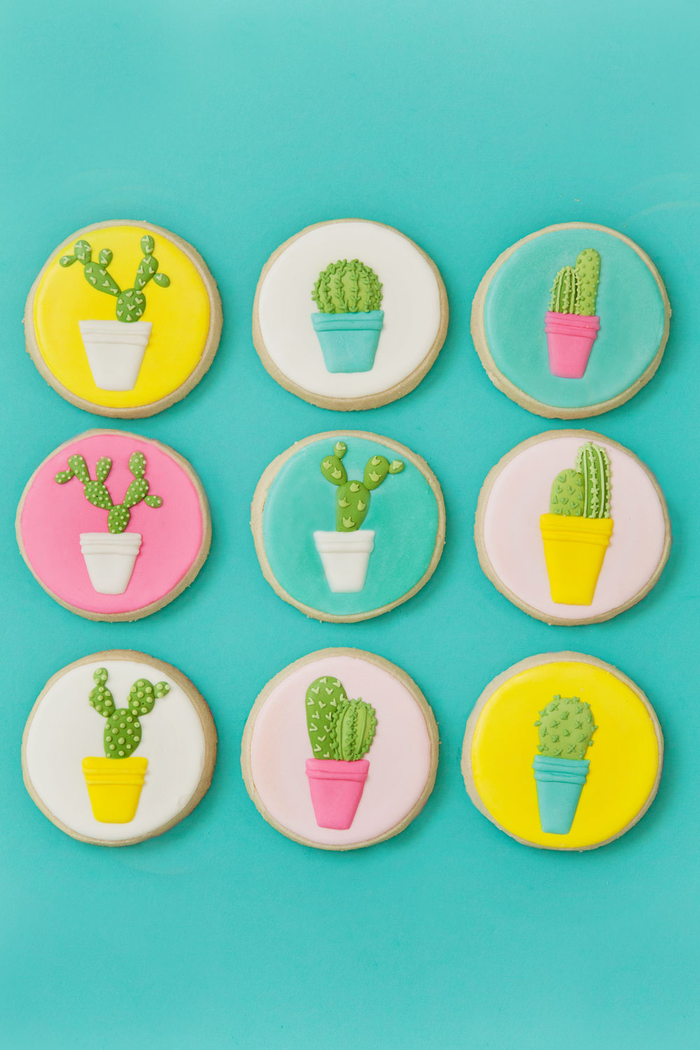 cactus-sugar-cookies