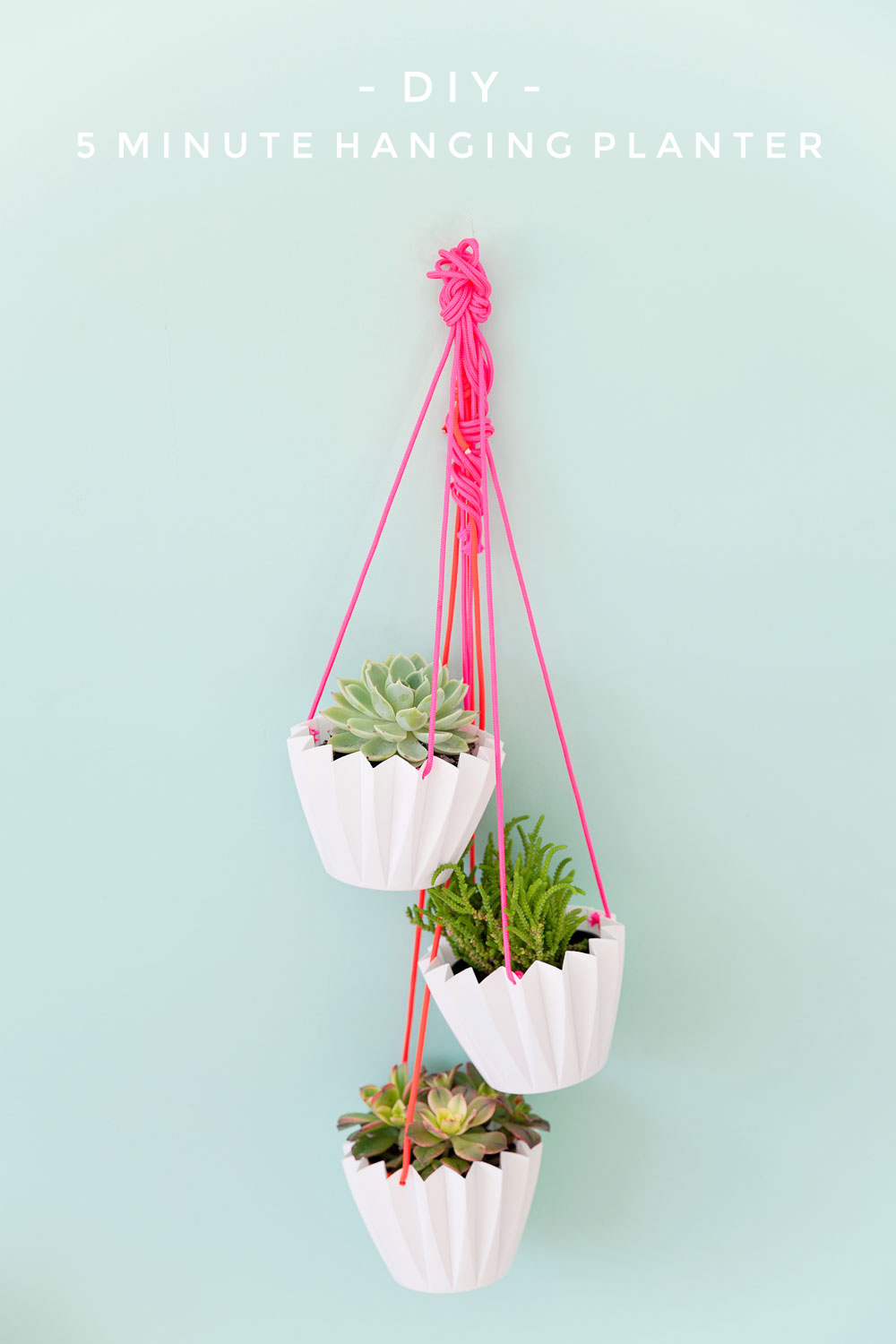 Super-Simple-and-cheap-hanging-planter-DIY