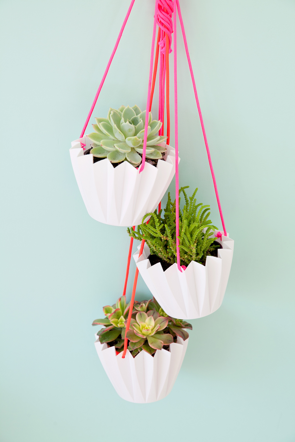 5 MINUTE DIY HANGING PLANTERS - Tell Love and Party